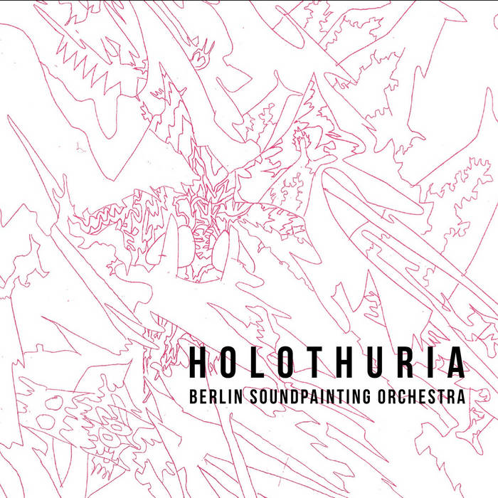 disco Holothuria by BSO